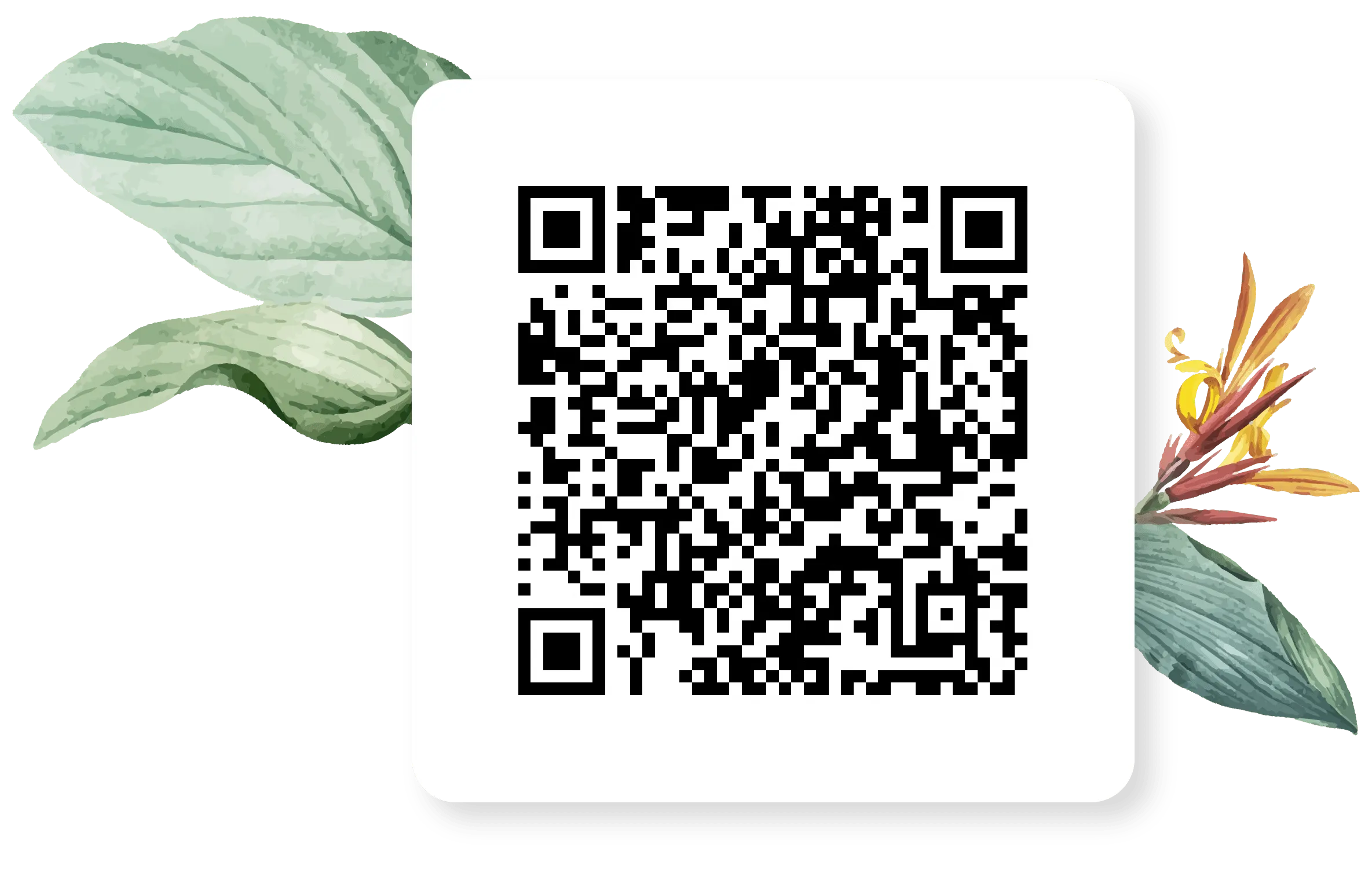 Pura Vida Invisalign QR code